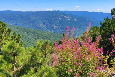 KAZ DAĞLARI EŞSİZ DOĞAL GÜZELLİKLERİYLE KEŞFEDİLMEYİ BEKLEYEN BİR CENNET